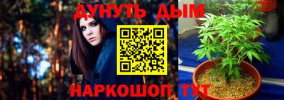 Альфа ПВП Пушкино