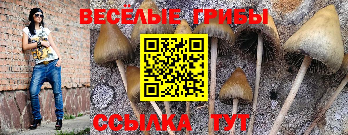 Отрадное  Гашиш  Марихуана  ЭКСТАЗИ  Вход с VPN  Кокаин  МЕФ  