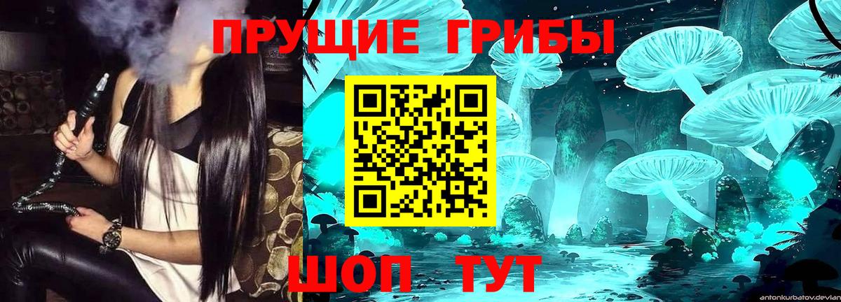 Галлюциногенные грибы прущие грибы  Галлюциногенные грибы мицелий  Отрадное  Вход с VPN 